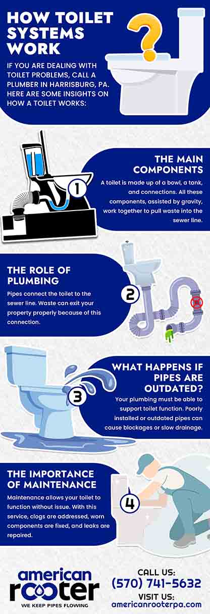 How toilet system work